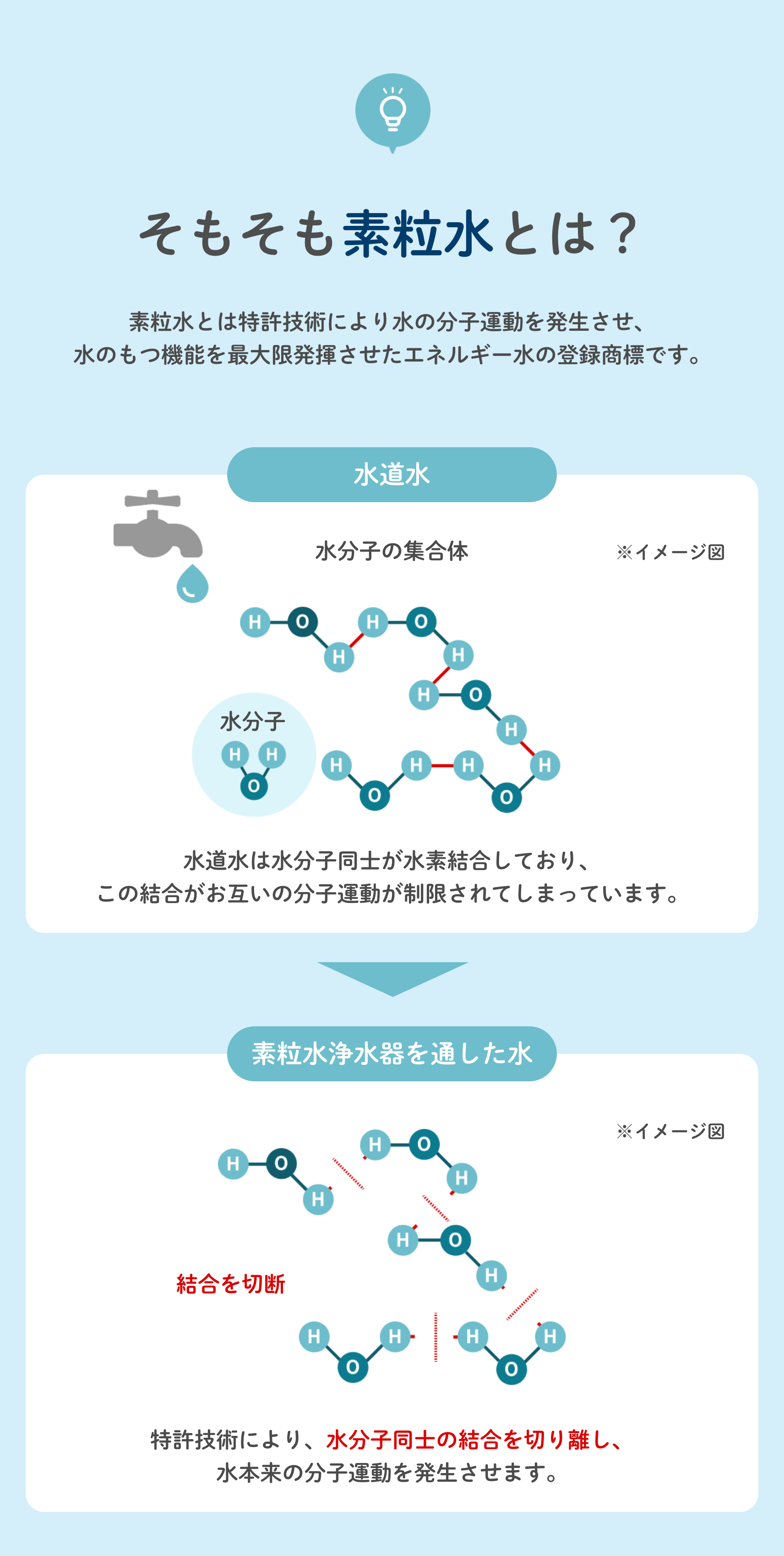 素粒水とは
